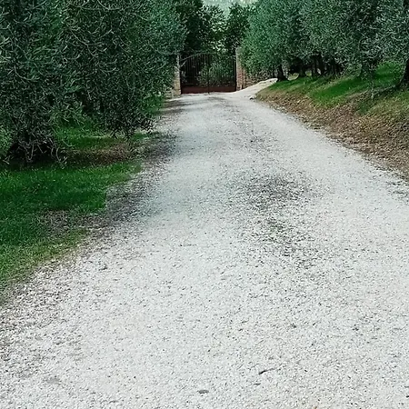 Il Sasseto Βίλα Castel Viscardo