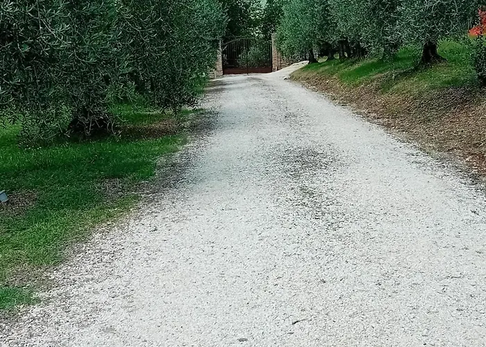 Il Sasseto Βίλα Castel Viscardo